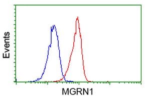 MGRN1 Antibody (clone OTI3A1)