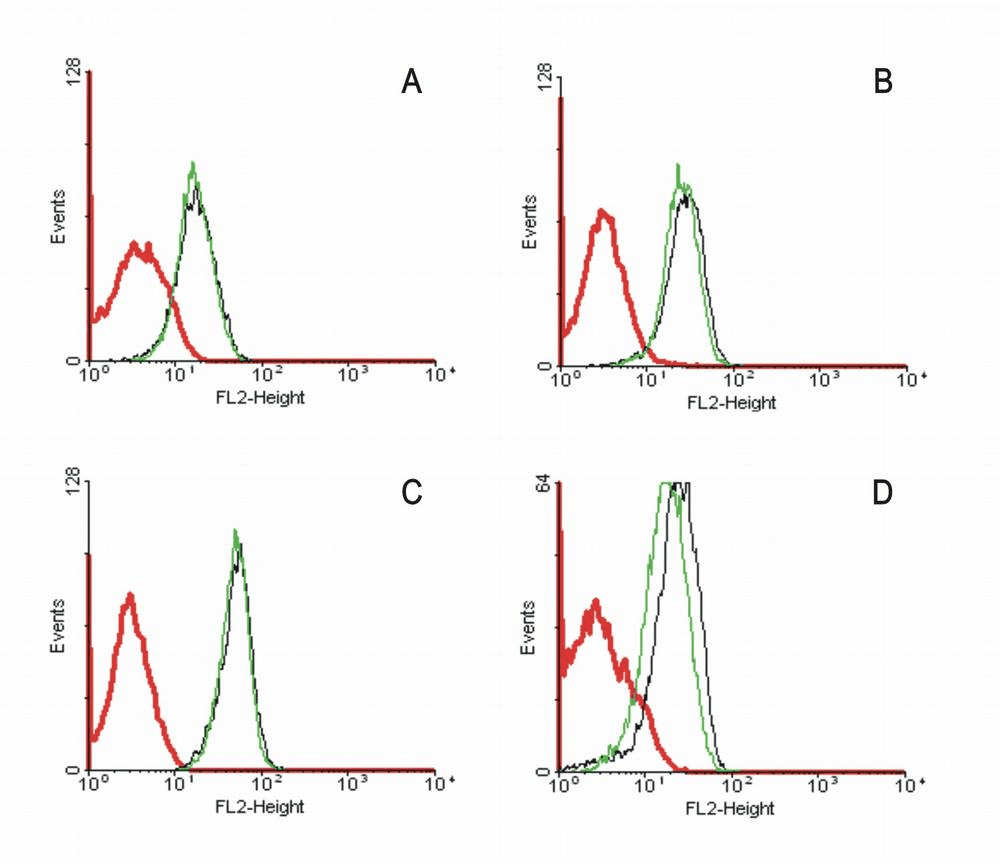 IHC-plus™ CD95 / FAS Antibody (clone LT95)