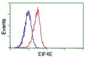 EIF4E Antibody (clone OTI6C11)