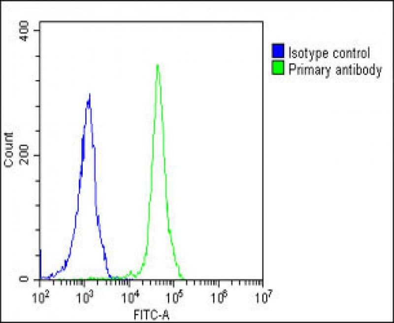 RPS27 / Ribosomal Protein S27 Antibody (N-Terminus)