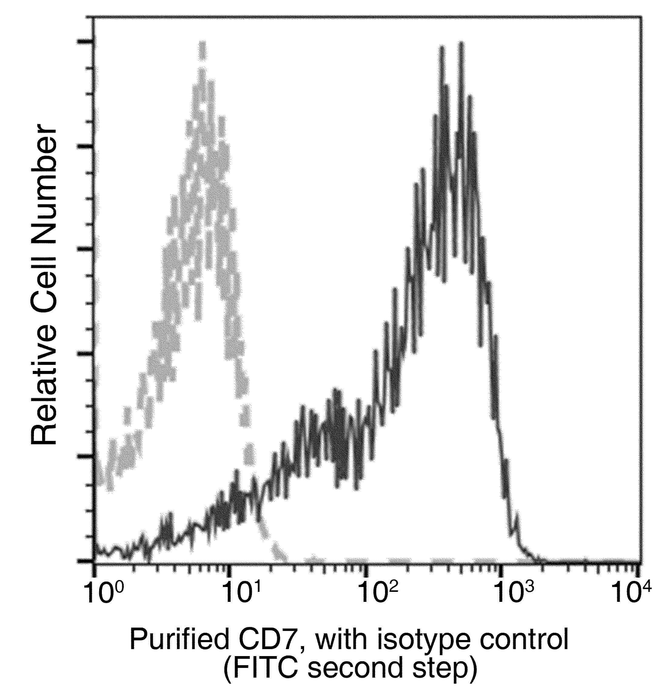 Monoclonal Mouse anti-Human CD7 Antibody (clone 14, Preservative Free)