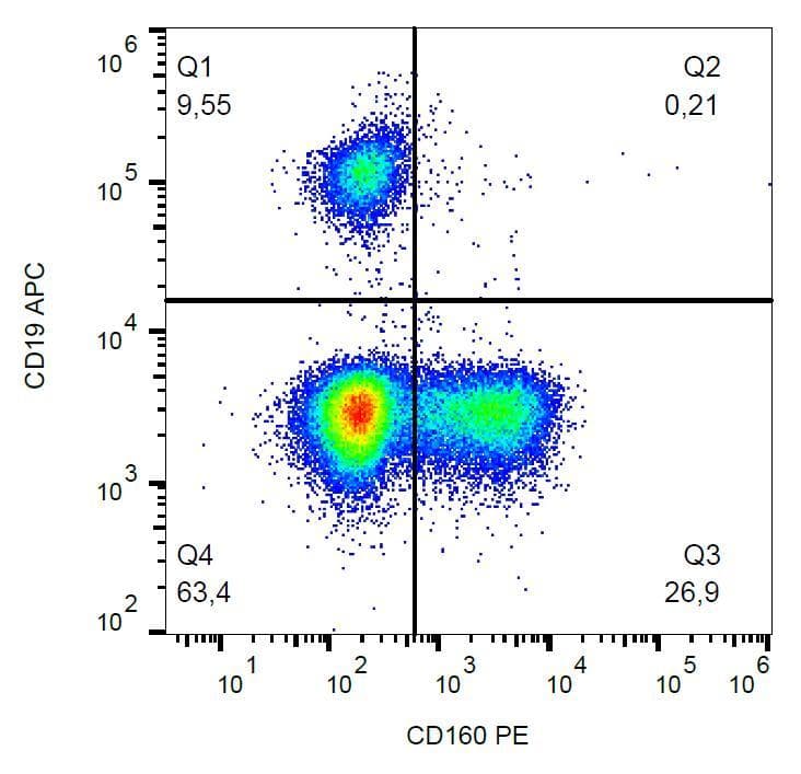NK1 / CD160 Antibody (clone BY55, PE)