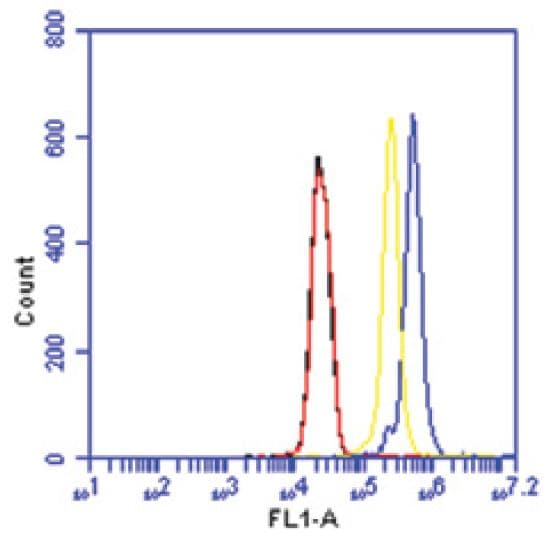 KDM5B / JARID1B Antibody (aa1534-1544)