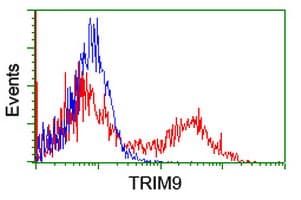 Monoclonal Mouse anti-Human SPRING / TRIM9 Antibody (clone OTI1E4, IF, WB)