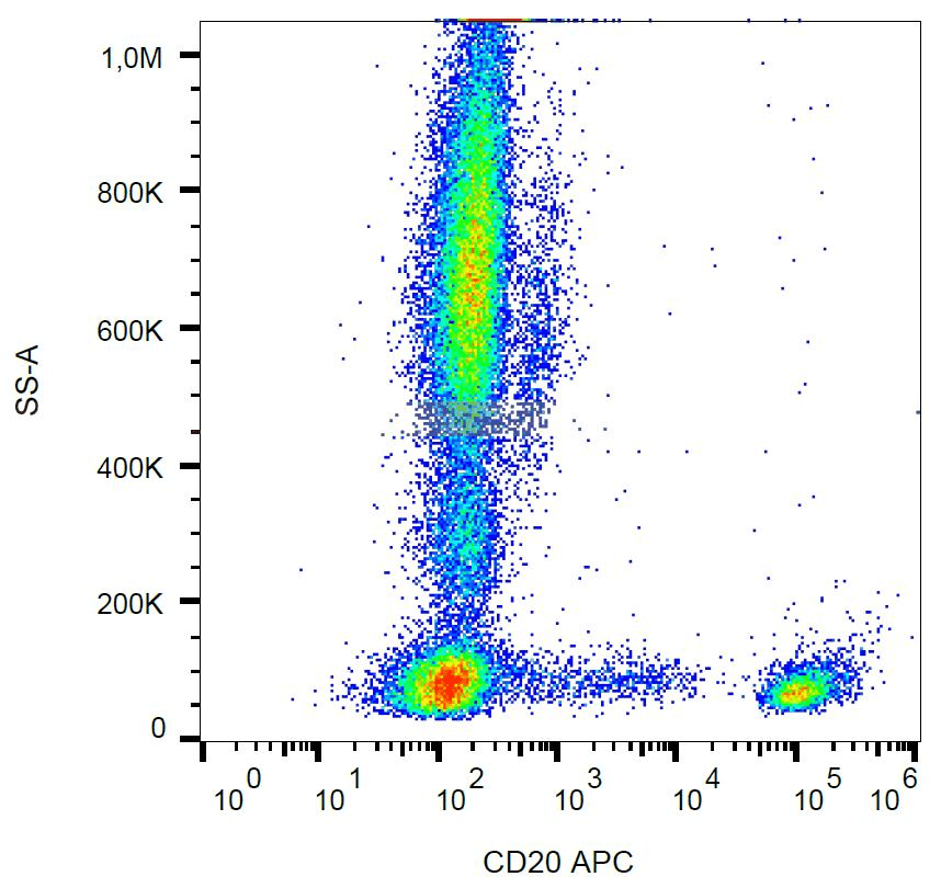 Monoclonal Mouse anti-Human CD20 Antibody (clone LT20, APC)