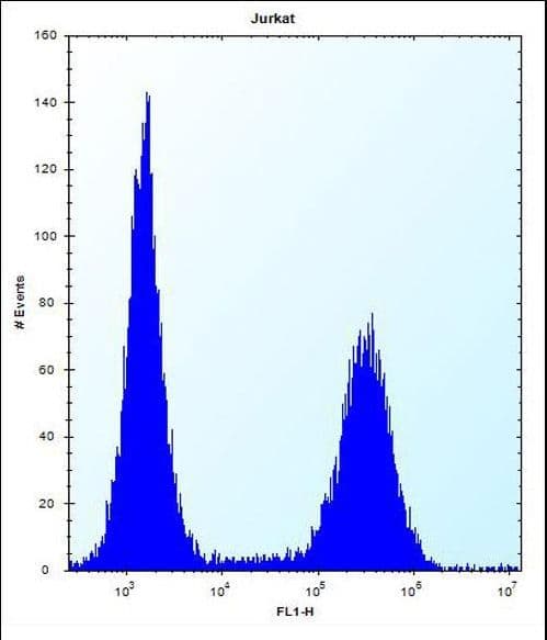 RNF11 Antibody (aa64-90)