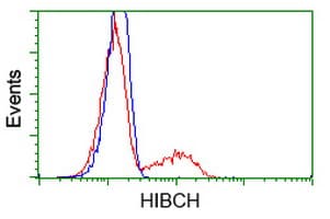HIBCH Antibody (clone OTI2A5, Carrier-free)