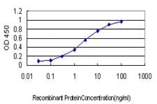 RAD51C Antibody (clone 3F3-5C6)