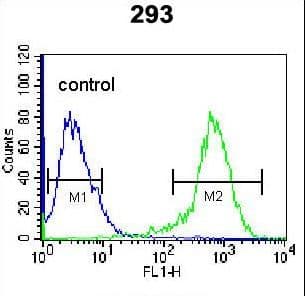 CDK8 Antibody (aa249-277)