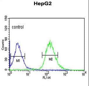 WAC Antibody (aa284-313)
