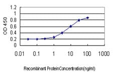 SMC6 Antibody (clone 2E6)
