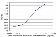 Monoclonal Mouse anti-Human NUPL1 Antibody (clone 3G11, IHC, WB)
