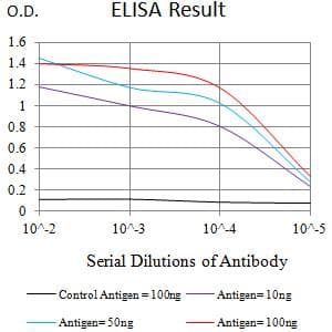 CXCR2 Antibody (clone 5F7A11)