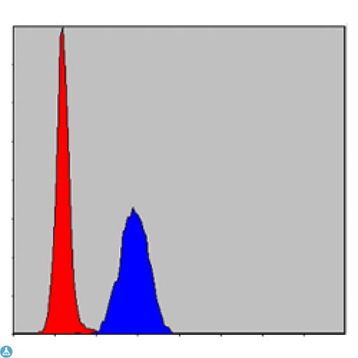 MAPK3 / ERK1 Antibody