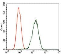 Monoclonal Mouse anti-Human GPC3 / Glypican 3 Antibody (clone 9C2, IHC, IF, WB)
