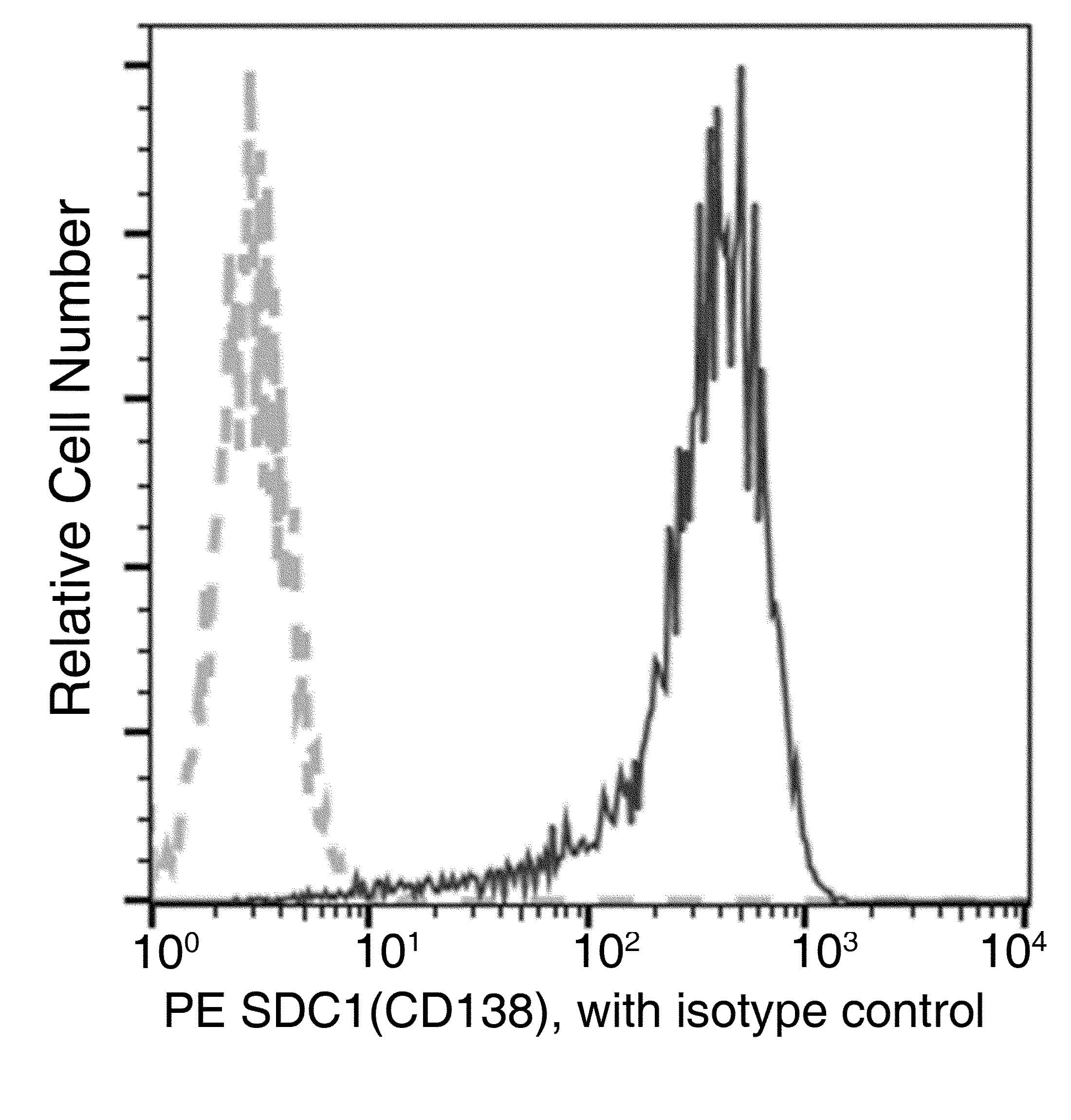 SDC1 / Syndecan 1 / CD138 Antibody (clone 017, PE)