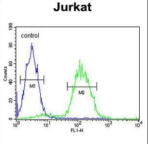 CD34 Antibody (aa185-212)