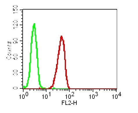 Monoclonal Mouse anti-Human GPR44 / CRTH2 Antibody (WB)