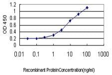 IHC-plus™ RBFOX2 / RBM9 Antibody (clone 4G3)