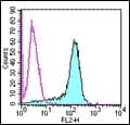 Monoclonal Rat anti-Mouse PD-L2 / PDCD1LG2 / CD273 Antibody (clone TY25, PE)
