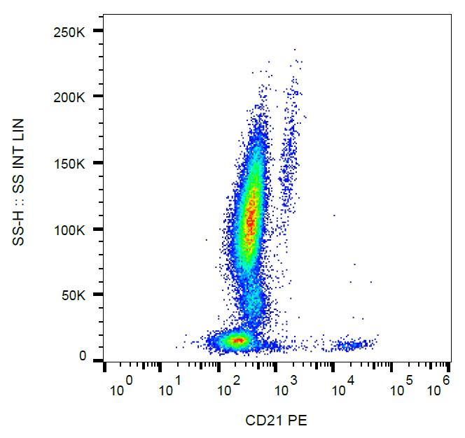 CR2 / CD21 Antibody (clone LT21, PE)
