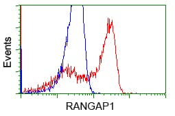 IHC-plus™ RANGAP1 Antibody (clone 1B4)