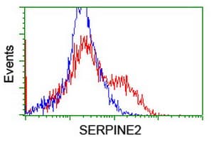 SERPINE2 / Nexin Antibody (clone OTI6F3, Carrier-free)