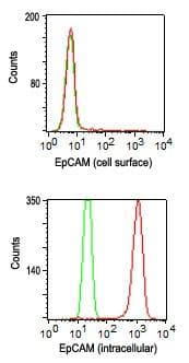 Monoclonal Mouse anti-Human EPCAM Antibody (clone 60N5D8, aa289-335, IHC, WB)
