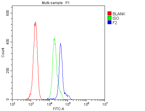 F2 / Prothrombin / Thrombin Antibody