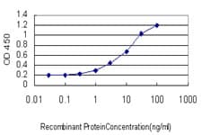 RNF114 / ZNF313 Antibody (clone 4G3-1A10)