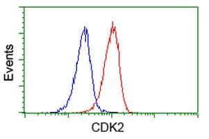 CDK2 Antibody (clone OTI2F10, Carrier-free)
