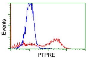 PTPRE / PTP Epsilon Antibody (clone OTI3B8)
