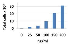 Mouse CCL28 / MEC Protein (Recombinant)