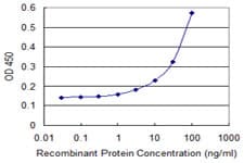 COXIV / COX4 Antibody (clone 4A10)