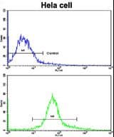 PathPlus™ NANOG Antibody (aa94-123)