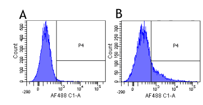 CD40L Antibody (CD40L, clone hu5c8 (Ruplizumab))