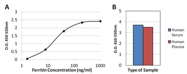 Ferritin Antibody (clone 521)