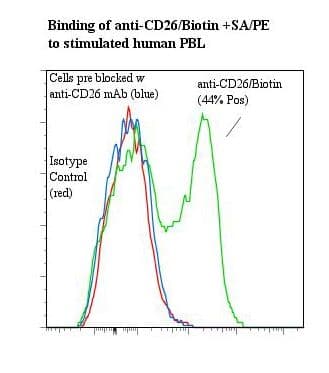 DPP4 / CD26 Antibody (clone 202.36, Biotin)