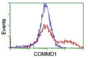IHC-plus™ COMMD1 Antibody (clone 2E2)