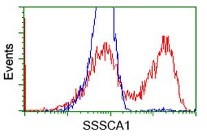 SSSCA1 / p27 Antibody (clone OTI2F5)