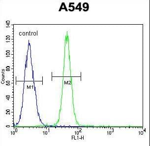 FBXO24 Antibody (aa118-145)