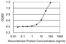 IHC-plus™ Monoclonal Mouse anti-Human PRKDC / DNA-PKcs Antibody (clone 1B9, IHC, WB)
