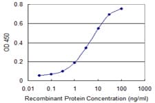 Monoclonal Mouse anti-Human SORT1 / Sortilin Antibody (clone 1B3, WB)