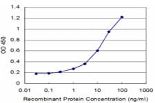 TUBA1A / Tubulin Alpha 1a Antibody (clone 2D2)