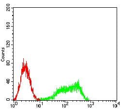 ADGRE5 / CD97 Antibody (clone 6D7E6)