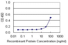 GPC5 / Glypican 5 Antibody (aa1-572, clone 1C9)