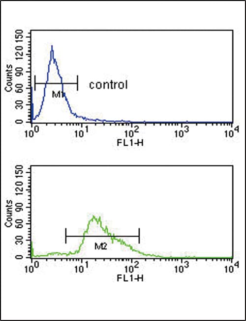 PLG / Plasmin / Plasminogen Antibody (aa636-665)