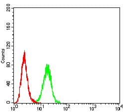 Monoclonal Mouse anti-Human C1QG / Complement C1QC Antibody (clone 4H9D7, WB)
