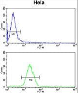 INSIG1 Antibody (aa36-63)