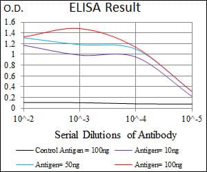 BRN2 / POU3F2 Antibody (clone 6H12)